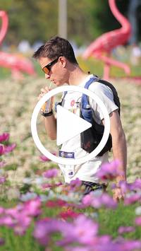 BIB:  <button type="button" onclick="openModal(27588344)" class="btn btn-primary btn-sm float-right" data-toggle="modal" data-target=".modal-high-quality">
                <i class="fa fa-download"></i> Download
                </button>